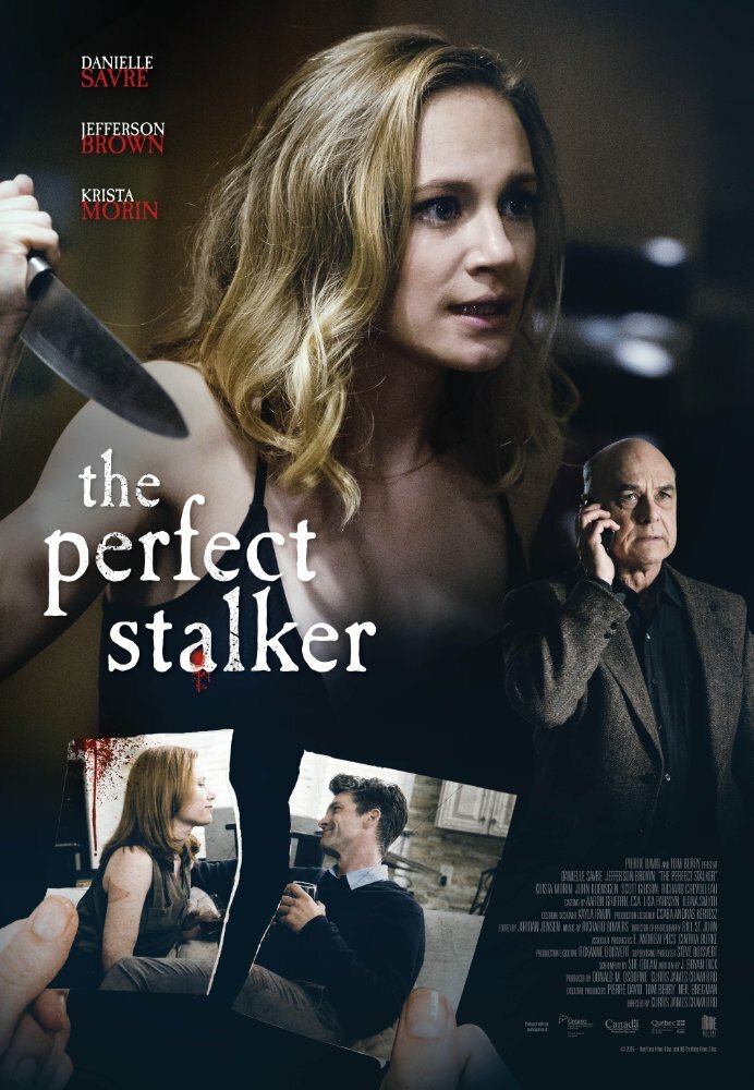 The Perfect Stalker (2016)