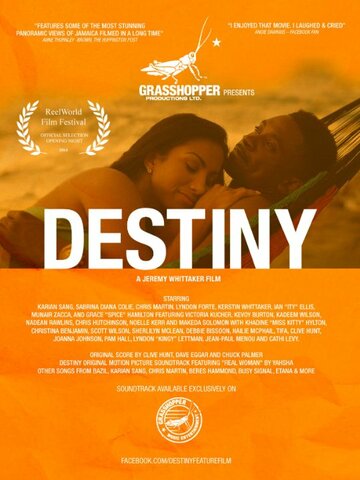 Destiny (2014)